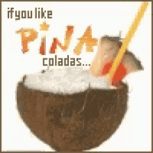 Pina GIF