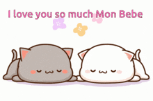Mon Bebe Love You GIF - Mon Bebe Love You Mitao Cat GIFs