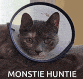 Monstie Huntie Monstie Huntie Cat GIF - Monstie Huntie Monstie Huntie Cat Monstie Huntie Soba GIFs