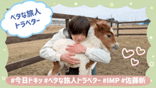 a person holding a small brown and white horse in their arms in front of a sign that says imp
