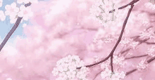 Cherry Blossom Pink GIF - Cherry Blossom Pink Kawaii GIFs