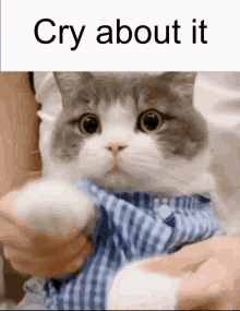 Cat Cry About It GIF - Cat Cry About It Cry GIFs