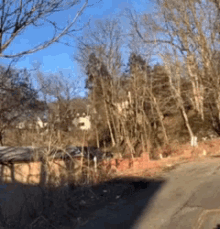 a road with trees on the side of it