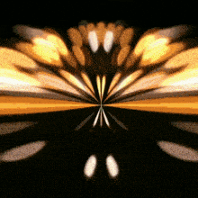 a close up of a butterfly 's wings on a dark background