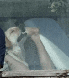 a person is holding a dog behind a glass window