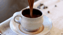Cocoa National Cocoa Day GIF - Cocoa National Cocoa Day Cocoa Day GIFs