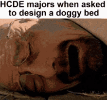 hcde dcde human centered design dog centered design