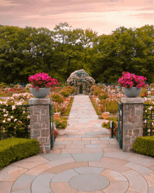 Sunset Wedding Garden GIF - Sunset Wedding Garden GIFs