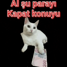 a white cat is sitting on a 200 tl bill .