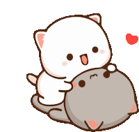 a white cat is hugging a gray cat .
