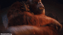 Yell Scar King GIF - Yell Scar King Godzilla X Kong The New Empire GIFs