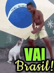 Vai Brasil / Copa Do Mundo / Hexa / Campeão / Futebol / Menino / Cachorro GIF - Go Brazil Brazil Soccer GIFs