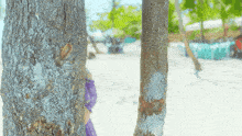a tree trunk on a beach with a blurred background of trees