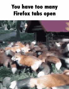 fire fox foxes chaos stampede