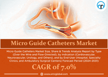 Micro Guide Catheters Market GIF