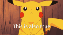 This Is Also True Pikachu GIF - This Is Also True Pikachu Nodding GIFs