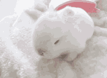 Bunny Sleepy GIF - Bunny Sleepy Head GIFs