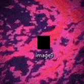 Image9 Nine GIF - Image9 Image Nine GIFs