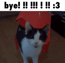 Cat Bye GIF - Cat Bye Goodbye GIFs