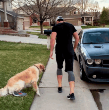 Running The Pet Collective GIF - Running The Pet Collective Jogging GIFs