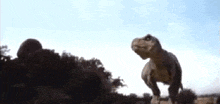 Jurassic Park T Rex GIF - Jurassic Park T Rex GIFs