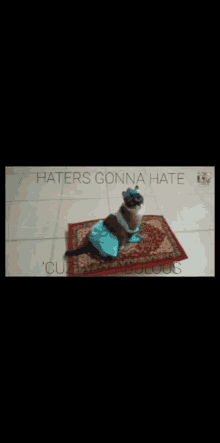Fabulous Haters GIF - Fabulous Haters Gonna GIFs