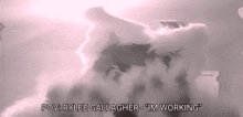 rylee gallagher 's name is on the bottom of a screen