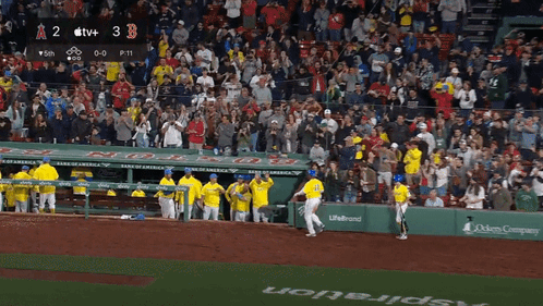 Red Sox GIF - Red Sox Rafael - Discover & Share GIFs