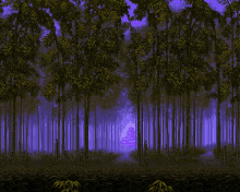 forest