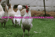 Chicken Thigh GIF - Chicken Thigh GIFs