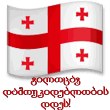 ninisjgufi may26 26maisi georgia flag