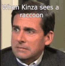 Kinza Raccoon GIF - Kinza Raccoon Ew GIFs