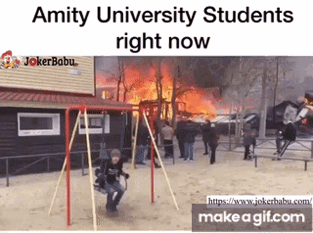 Funny Videos Memes Swing GIF - Funny Videos Memes Swing - Discover & Share GIFs Funny Videos Memes Swing GIF - Funny Videos Memes Swing - Discover & Share GIFs