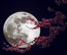 a full moon is behind a tree branch with red flowers .
