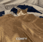 a cat is laying under a blanket and the word comfy is on the bottom right