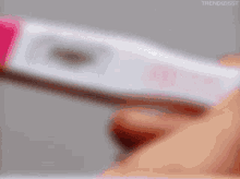 Pregnancy Test Not Pregnant GIF - Pregnancy Test Not Pregnant Just Fat GIFs