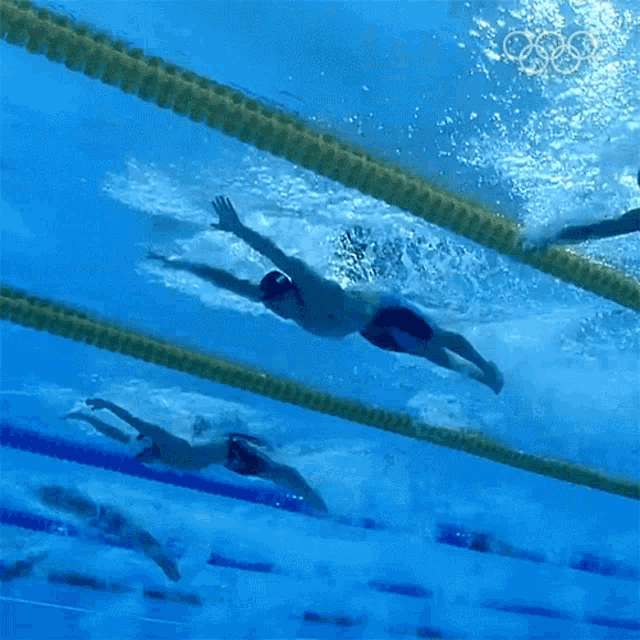 swimming butterfly technique