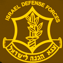 Idf Israel Defense Forces GIF