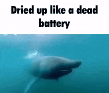 a shark is swimming in the ocean with the words dried up like a dead battery