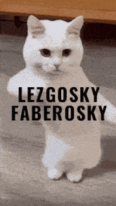 Faber Lezgosky GIF - Faber Lezgosky GIFs