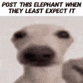 Post This Elephant When They Least Expect It GIF