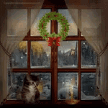 Kitten Snow GIF - Kitten Snow Winter GIFs