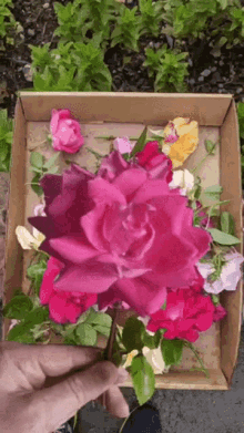 Red Roses Animated GIF - Red Roses Animated Satisfying GIFs