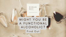 Functioning Alcoholic GIF - Functioning Alcoholic GIFs