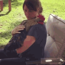 Cockerel Cuddling GIF - Cockerel Cuddling Rooster GIFs