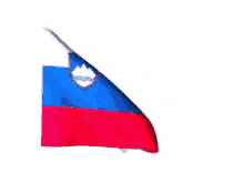 Slovenia Flag GIF