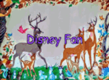 Disney Beauty And The Beast GIF - Disney Beauty And The Beast Bambi GIFs