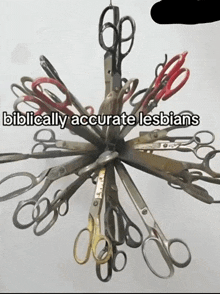 a bunch of scissors with the words biblically accurate lesbians at the bottom