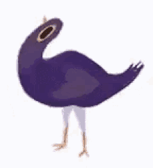 Purple Dove GIF - Purple Dove GIFs