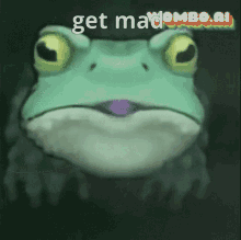 Spelunky Frog GIF - Spelunky Frog Get GIFs